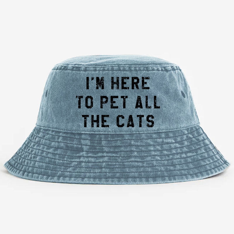 I'm Here To Pet All The Cats Bucket Hat